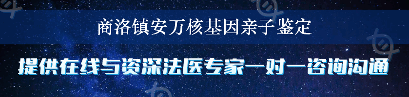 商洛镇安万核基因亲子鉴定